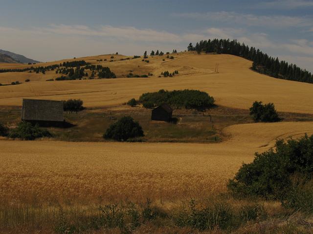129.JPG - Washington