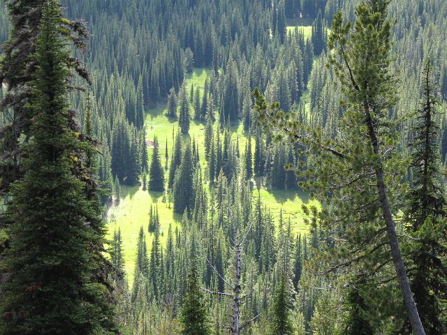 022.JPG - Wilson Basin