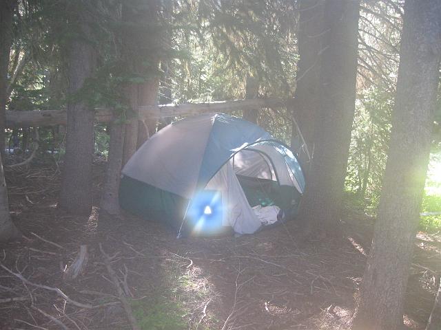 026.JPG - Morning Fog