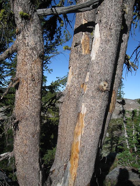 078.JPG - "Old"  Wild Game Pole