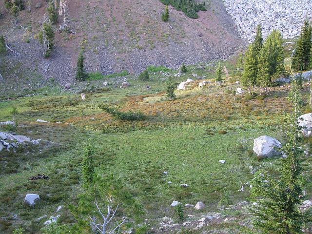 099.JPG - Donkey Meadow