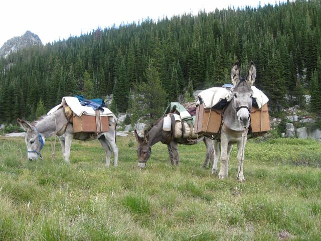 120.JPG - Brownie Basin Rest Stop