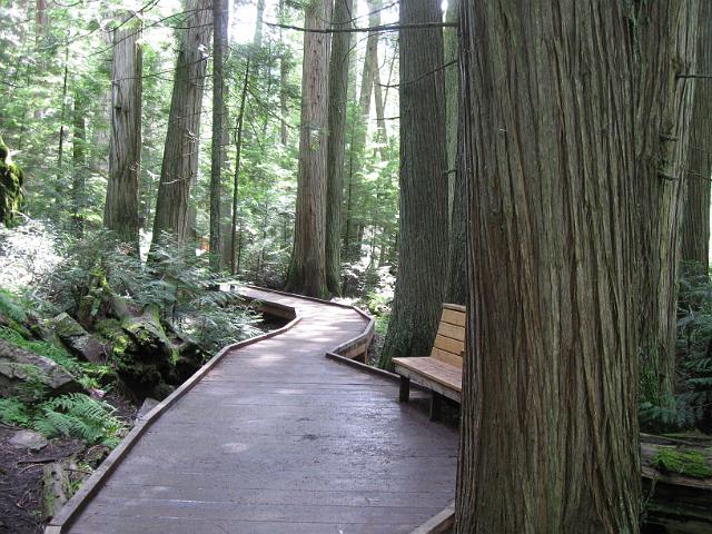 017.JPG - Trail of the Cedars