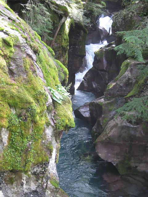 018.JPG - Avalanche Creek