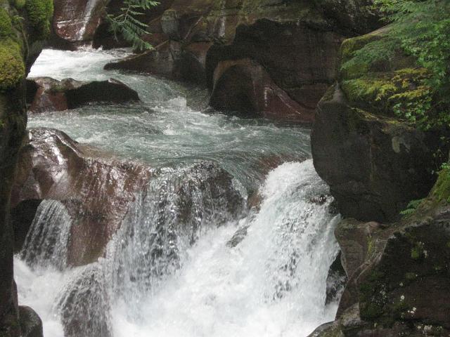 019.JPG - Avalanche Creek