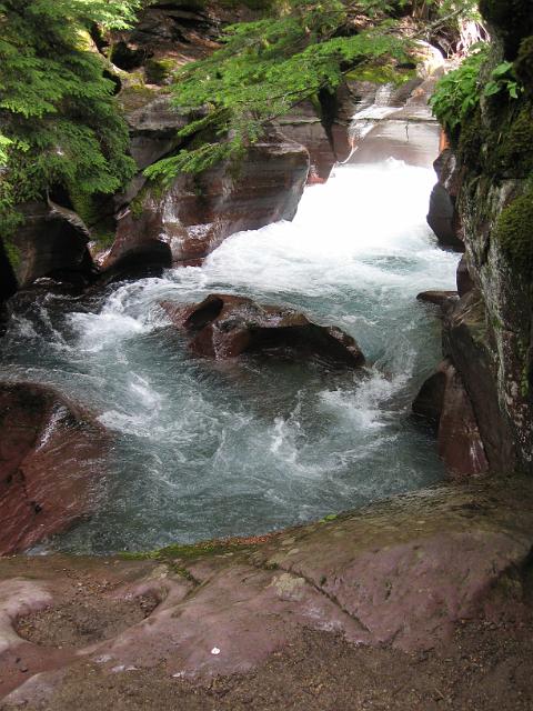 021.JPG - Avalanche Creek