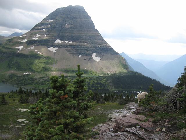 053.JPG - Hidden Lake Trail