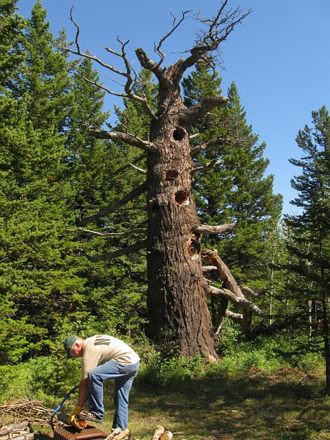 074.JPG - Leaning Tree RV Park