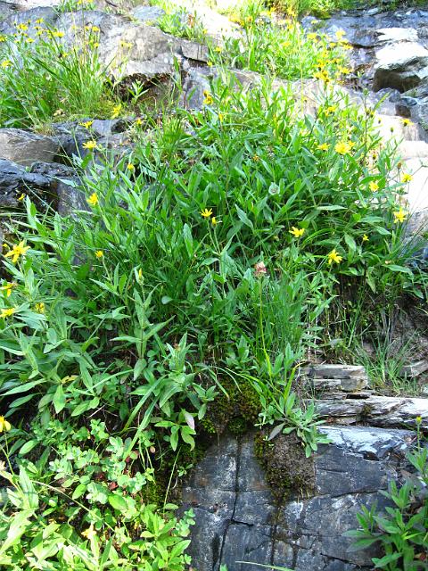 107.JPG - Twin Falls