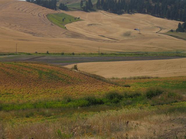 130.JPG - Washington