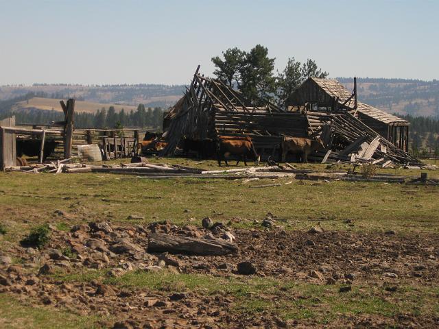 138.JPG - Oregon Hwy 244