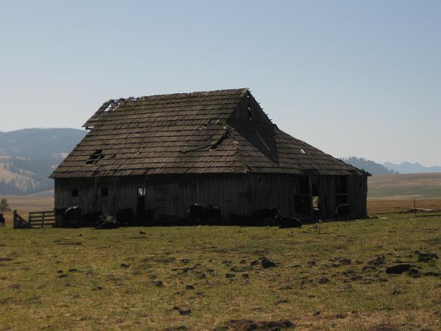 139.JPG - Oregon Hwy 244